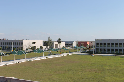 Módulo 4
